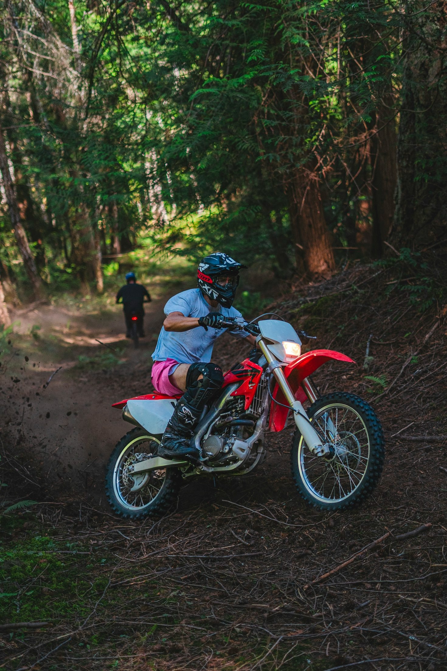 The Beauty of Guided Rides Through Nature