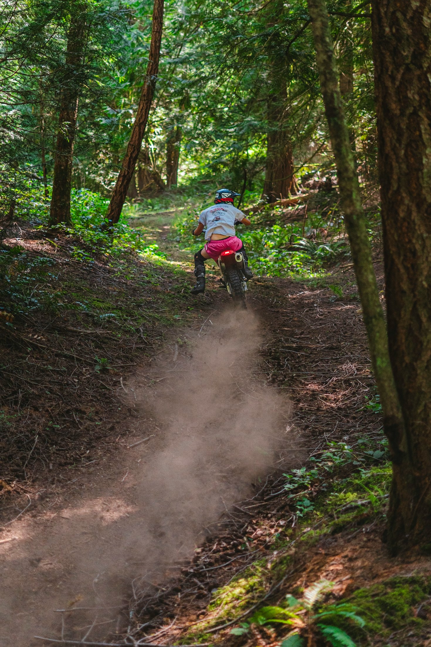 What Makes Motorcycle Adventures Unforgettable?
